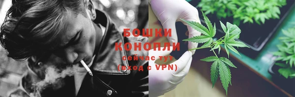 прущие грибы Верхнеуральск