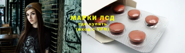 сатива Нягань