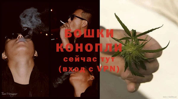 прущие грибы Верхнеуральск